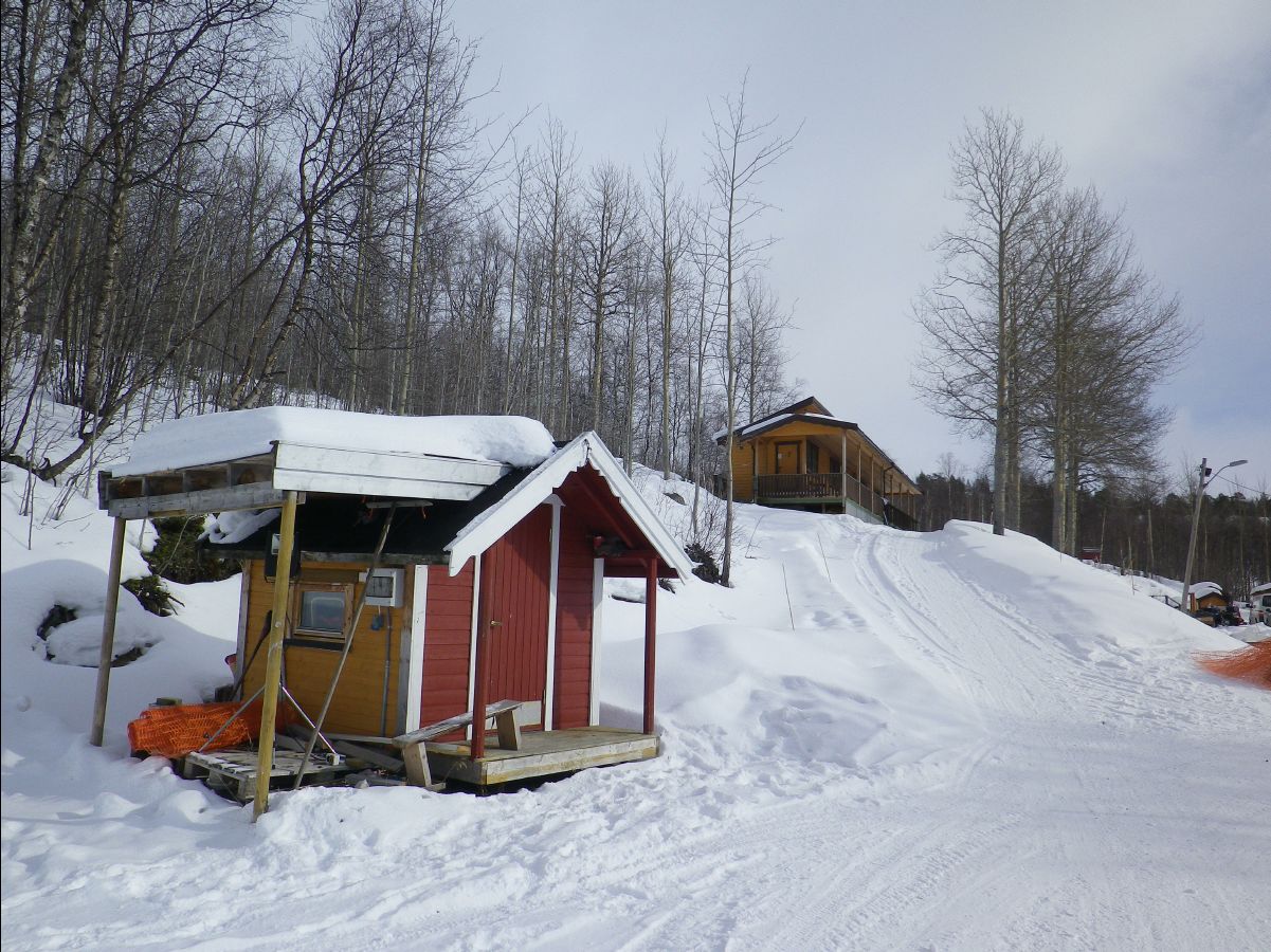 Dogs sledge41